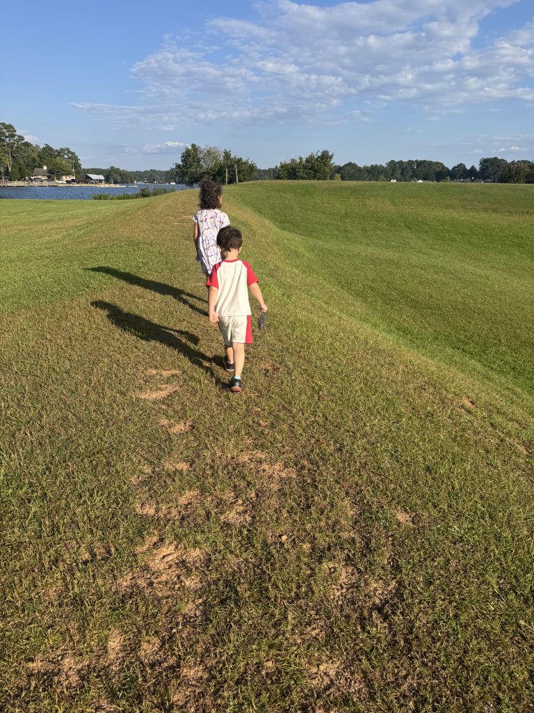 img 7104